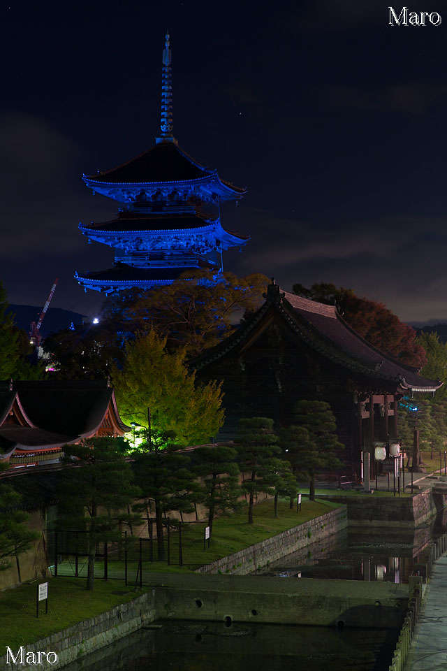 東寺 五重塔のブルーライトアップ 京都市南区 2012年11月