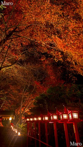 貴船もみじ灯篭 貴船神社の参道 京都市左京区 2012年11月