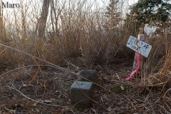 奥高野 陣ヶ峰の三角点 和歌山県伊都郡高野町、奈良県吉野郡野迫川村 2012年12月