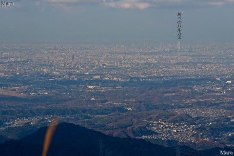 岩湧山から大阪平野、「あべのハルカス」を望む 大阪府河内長野市 2012年12月