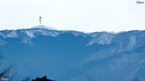 千ヶ峰から岡山県最高峰の後山を望む 中国山地 2012年12月