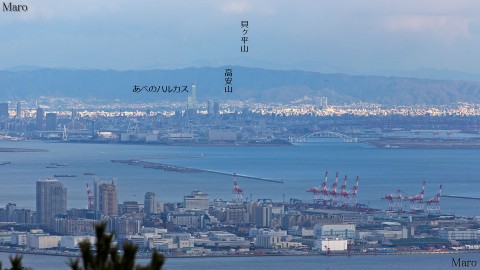 菊水山から「あべのハルカス」と六甲アイランドを望む 神戸市 2013年1月