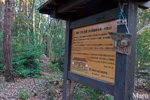 仏徳山（大吉山）の山頂 標高132m 京都府宇治市 2013年1月