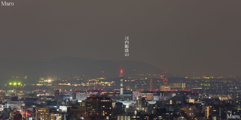 松ヶ崎東山（「法」の山）から改修工事中の京都タワーを望む 2013年2月