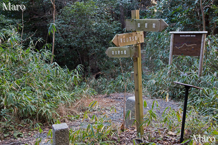 円山公園、東山山頂公園、高台寺山国有林防火貯水ダムの分岐 2013年2月