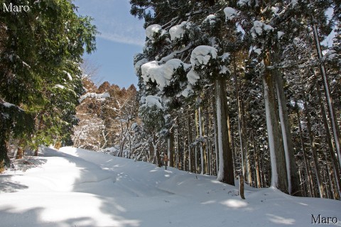 和佐谷峠から百井キャンプ場への分岐へ 京都北山の雪景色 2013年2月
