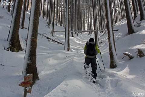 深く雪が積もった滝谷山の山頂直下、直登コースの取付 京都北山 2013年2月