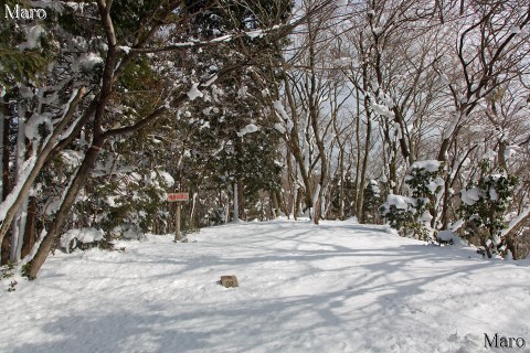 雪積もる滝谷山（別所山）の山頂 京都北山 京都市左京区 2013年2月