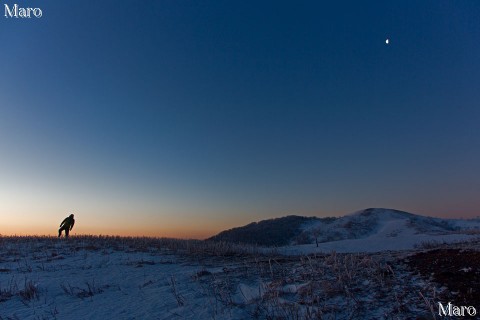 霊仙山で迎えた夜明け前のブルーアワー 雪の鈴鹿山脈 2013年3月