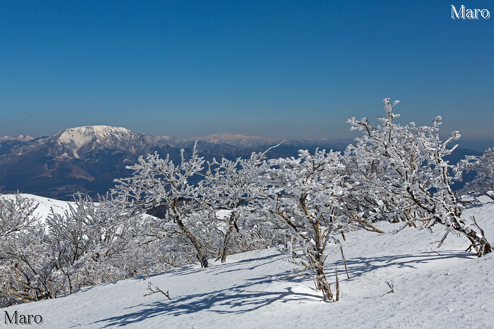 伊吹山、白山と樹氷 真っ青な空 真っ白な雪原 霊仙山にて 2013年3月