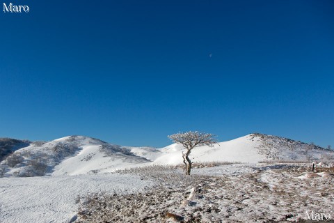 嵐の夜が明けた霊仙山 真っ青な空 白い雪原 鈴鹿山脈 2013年3月