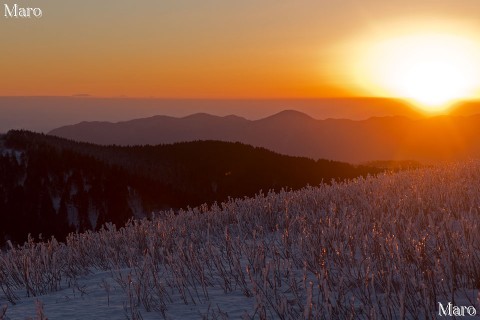 ご来光を浴びて輝く霧氷 霊仙山の朝日 雪の鈴鹿山脈 2013年3月