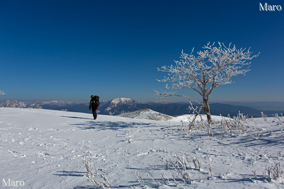 霊仙山 最高点と三角点を結ぶ稜線 白い雪原を歩く 2013年3月