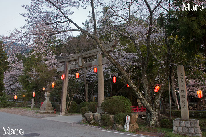 水分れ公園 いそ部神社の桜 兵庫県丹波市 2013年4月