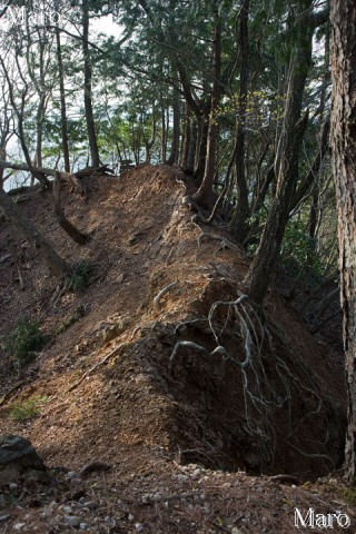 向山連山 珪石山の痩せ尾根 2013年4月