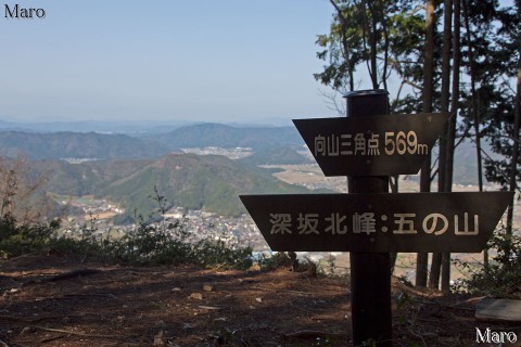 向山三角点 569.0m 兵庫県丹波市 2013年4月