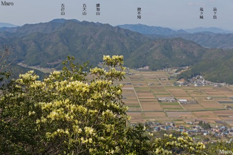 向山連山のヒカゲツツジ 松の台展望所からの眺望 2013年4月