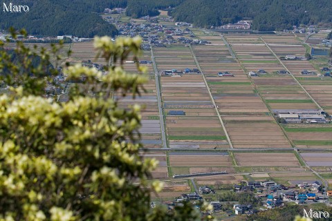 向山連山 眼下に春日町の田園風景と特急「こうのとり」を望む 2013年4月