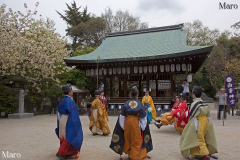 白峯神宮 春季例大祭 淳仁天皇祭 蹴鞠奉納 2013年4月14日