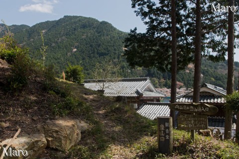 向山連山 観音堂登山口 兵庫県丹波市 2013年4月