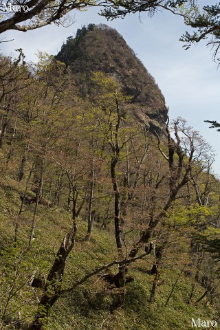 「大峰のマッターホルン」大日山を眼前に望む 2013年5月