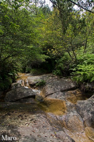 涼を求めて岩場の沢を歩く 滋賀県 2013年6月