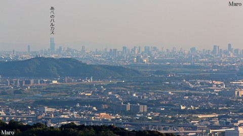 開業の日を迎えた「あべのハルカス」を大文字山の火床から望む