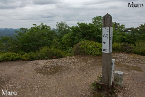 八ヶ峰の山頂 丹波高地 京都福井府県境 2013年6月