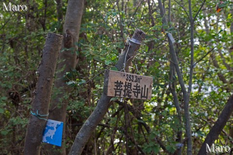 「甲西富士」菩提寺山の山頂 湖南市、野洲市 2013年10月