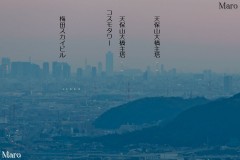 大文字山からコスモタワーと点灯する天保山大橋を望む 京都市 2013年10月