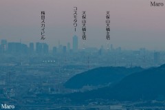 大文字山からコスモタワーと点灯する天保山大橋を望む 京都市 2013年10月