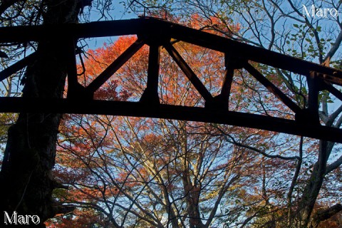 高祖谷駅跡の遺構越しに紅葉を望む 比叡山の廃墟 2013年11月