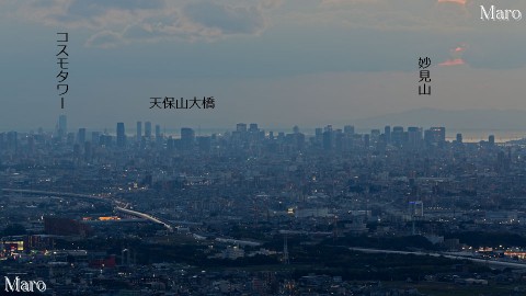 交野山から大阪の高層ビル群（ビル街）、コスモタワーを遠望 2013年11月