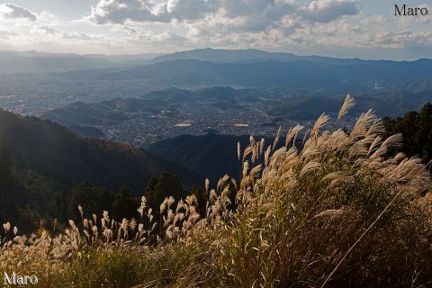 ススキ広がる比叡山から岩倉盆地、愛宕山を望む 2013年11月