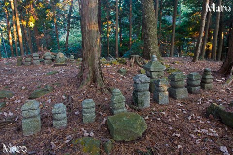 西山（比叡山西山）の山頂 標高559m 京都市左京区 2013年11月