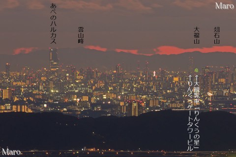 大文字山から大観覧車「りんくうの星」を望む 京都市 2013年11月