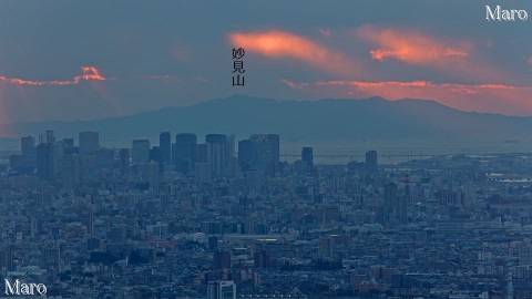 交野山から大阪の高層ビル群、大阪湾、淡路妙見山を望む 2013年11月