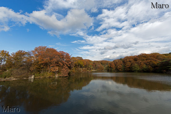 紅葉する白旗池 大阪府交野市 2013年11月