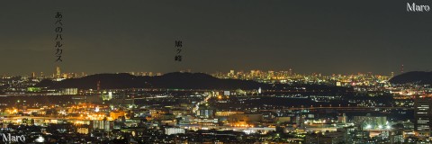 東山三十六峰 稲荷山から鳩ヶ峰（男山）の向こうに大阪の夜景、ハルカスを望む 2013年11月