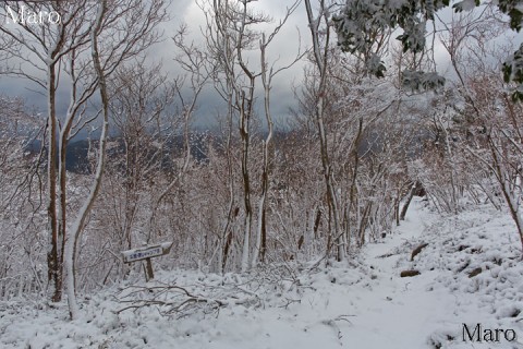 大阪府立総合青少年野外活動センター方面の積雪状況 2013年12月22日