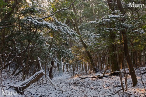 如意ヶ岳（如意ヶ嶽）から大文字山の間の積雪状況 京都市 2013年12月29日