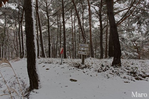 剣尾山 笠山コース 剣尾山八合目の積雪状況 2013年12月22日