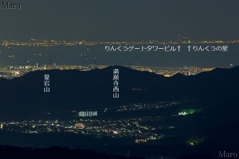 剣尾山からりんくうゲートタワービルと大観覧車「りんくうの星」を望む 2013年12月