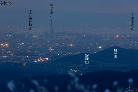 剣尾山から大阪港、コスモタワーなどの夜景を望む 2013年12月22日