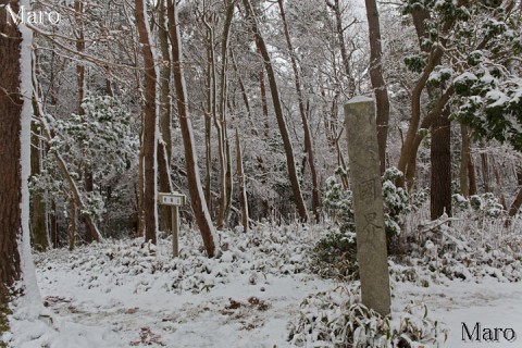 摂丹國界碑周辺の積雪状況 摂津国、丹波国国境 2013年12月22日