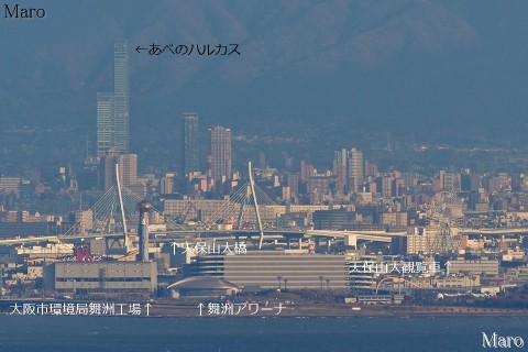 神戸の菊水山から大阪の「あべのハルカス」、舞洲、天保山大橋を遠望 2013年12月