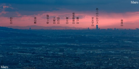 日野岳「パノラマ岩」から「あべのハルカス」と紀泉アルプスの山々を望む 2014年1月