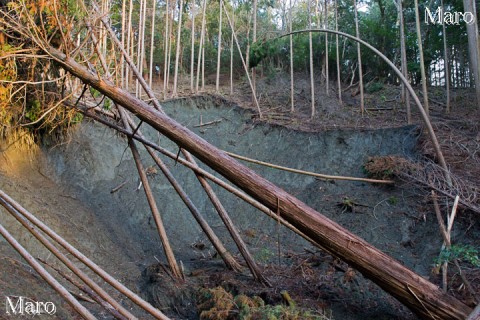 如意ヶ岳 藤尾からのコースの崩落地 2014年1月