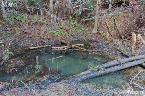 如意ヶ岳 藤尾からのコース下の小池 2014年1月