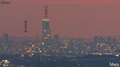 日野岳から「あべのハルカス」全面開業カウントダウン「50」を望む 1月16日